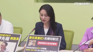 違建豪宅推給長輩　賴品妤批廖先翔厚顏無恥