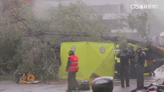 「夏蘭」挾破紀錄強風　強襲歐洲西北部7死