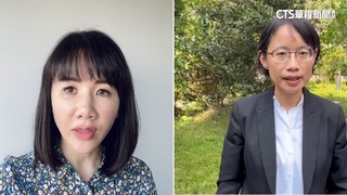 綠控藍營4家族　壟斷資源.特權買地　謝衣鳯：只會攻擊