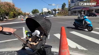 又見行人地獄！小貨車未禮讓　驚魂1秒母急護嬰