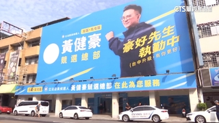 綠轟藍設競總砍6樹　中市府：經護樹審議同意