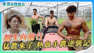 【創生向前行】熱血小農逆襲記｜華視新聞雜誌