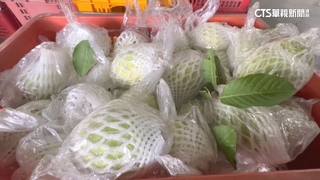 珍珠芭樂飆66.36元/公斤　創20年來最高價紀錄