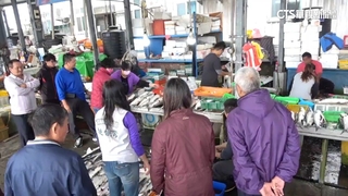 「烏金」來了！　彰化漁民捕獲1200尾.估進帳20萬