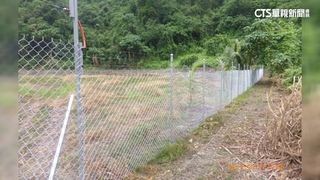 頭目狩獵遭電死　地主私設高壓電網遭送辦