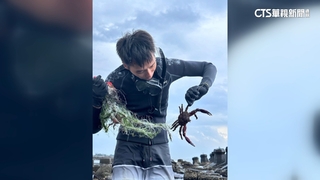 「武裝雙棘蟹」現蹤南台灣　外來種可別亂吃！