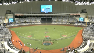 台北大巨蛋天頂會「吃球」？　選手實地測試體驗