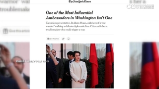 蕭美琴駐美期間表現亮眼　外媒讚「最具影響力大使」