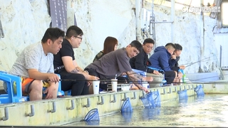 港客來台朝聖釣蝦技術　港釣蝦比台灣貴1倍