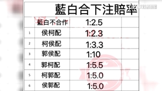 藍白不合賠率1：2.5　警佯裝賭客破大選賭盤