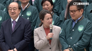 蕭美琴到「立院回娘家」　綠立委參選人緊貼合照