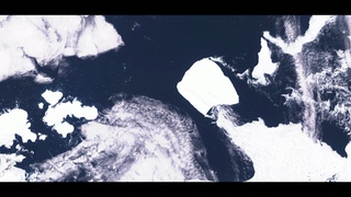 擱淺37年後飄移　　全球最大冰山將脫離南極