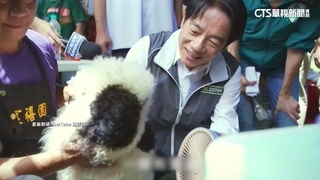 「賴蕭配」積極推空戰策略！　搶攻青年支持者