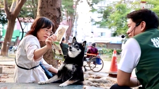 2024選戰倒數！　吸睛競選小物亮相　選民各有所好