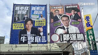 桃立委選戰大打看板戰！各選區藍綠看板「都當厝邊」