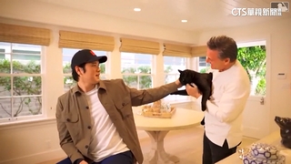 大谷3連霸最佳DH　官方推大谷「撸貓」片又掀話題