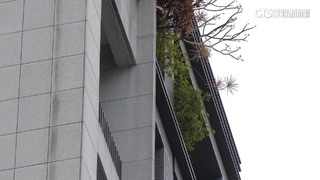 岳父涉蓋工業宅違法獲利　黃國昌：舊案冷飯重炒