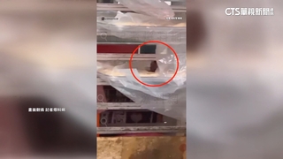 台中甜甜圈名店「老鼠啃麵糰」　業者質疑被惡搞