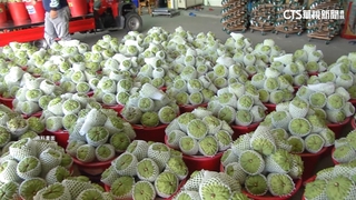 睽違2年！鳳梨釋迦重新銷中國　首批7號抵平潭