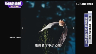 90後女青農返鄉創業　與蝙蝠共存「全台唯一」