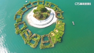明潭草排「指環變逗號」　拉魯島疑遭越界破壞