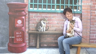 宗親認證！　蕭美琴是「彰化和美女兒」　老家祖厝曝光