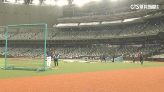 超級循環賽「台日戰」　推派曾仁和.宋嘉翔搭檔抗日