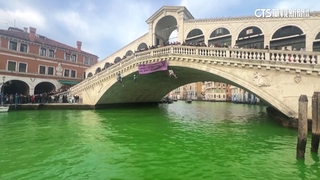 不滿COP28無進展　環團將威斯尼大運河染綠