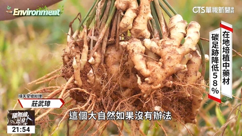 傳統漢方與時俱進 順天堂的綠色轉型