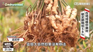 傳統漢方與時俱進　順天堂的綠色轉型