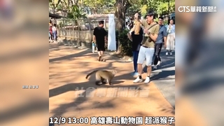 「潑猴」搶早餐！男大生遭猴抓傷　手濺血縫8針