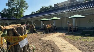 邰智源批砍樹設吸菸區「荒唐」　中正紀念堂：因染病才移除