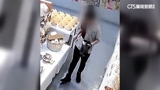 星國遊客偷「水豚君娃娃」後出境　警跨國追緝