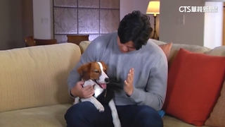 大谷記者會爆滿　解開世紀謎團「公布愛犬名」