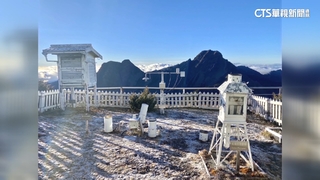 低溫上週末襲台　玉山北峰植物表面已結霜