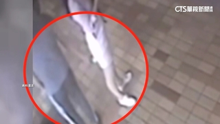 男子偷拍女性裙底照獲利382萬　檢方聲押獲准