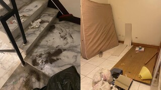 兩層樓「月租2千5含水電」卻欠租　房東開門愣： 滿地貓大便