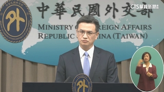 中取消12產品關稅減讓　謝金河點名「台塑首當其衝」