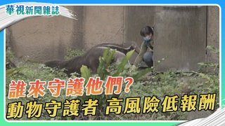 動物守護者 誰來守護他們？｜華視新聞雜誌