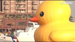 黃色小鴨重磅回歸高雄？陳其邁：拭目以待