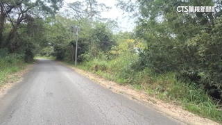 遭爆養3200坪農地　柯美蘭競辦：無價值山坡地