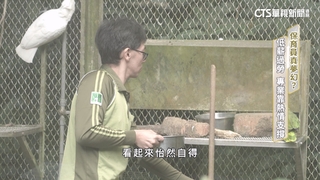 保育員真夢幻？　低薪過勞　專業靠熱情支撐