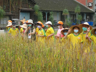 餐桌上的農業永續《食農教育法》用吃挺臺農