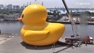 睽違10年！黃色小鴨重返高雄　1/27於愛河灣亮相
