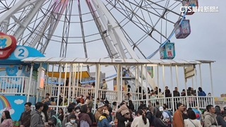 兒童新樂園跨年煙火秀　人潮達「容留上限」9600人