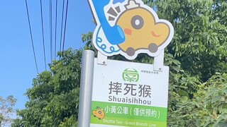 黃偉哲介紹台南小黃公車　「摔死猴」站名掀熱議　