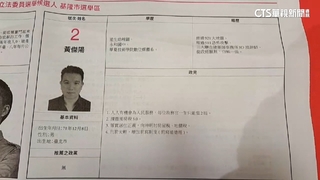 選舉公報超狂政見盤點！　火鍋禁芋頭.花20萬求婚