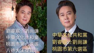 選舉公報驚見大咖演員參選！劉尚謙兒女全是明星 8大政見曝光