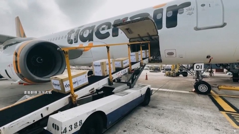 台日友好! 台灣首支NGO挺進日本強震重災區