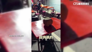 防「落山風」搗亂妙招！　恆春夜市攤商「巨石壓桌」